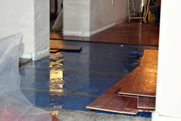 Professional Sewage Cleanup technician working in Virginia, MN
